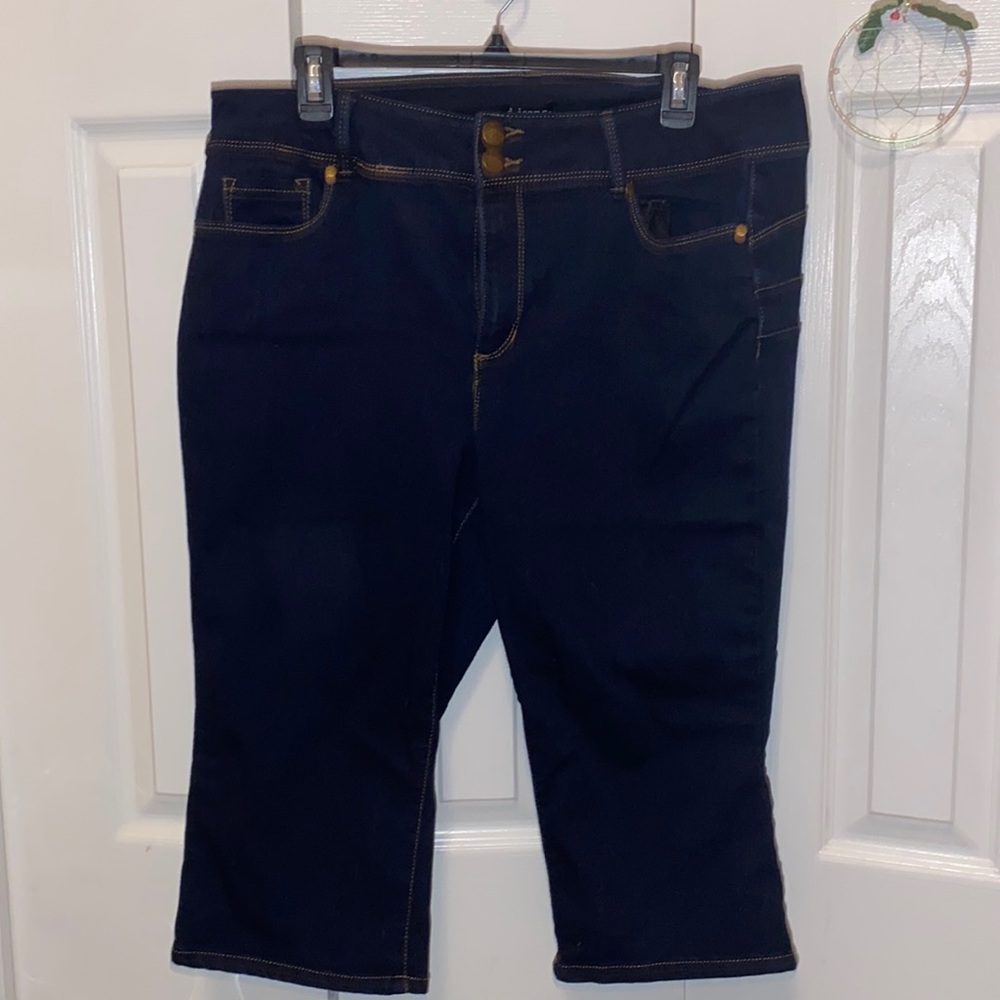 d.jeans Capris, 16W, Dark Wash Denim